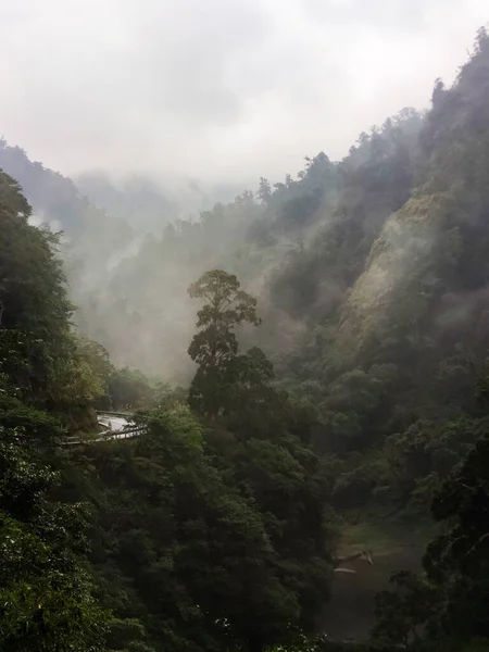 Kaunis Metsän Valtatie North Crossing Highway Taiwan — kuvapankkivalokuva