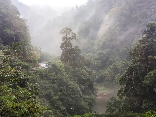 Der Wunderschöne Forest Highway North Crossing Highway Taiwan — Stockfoto