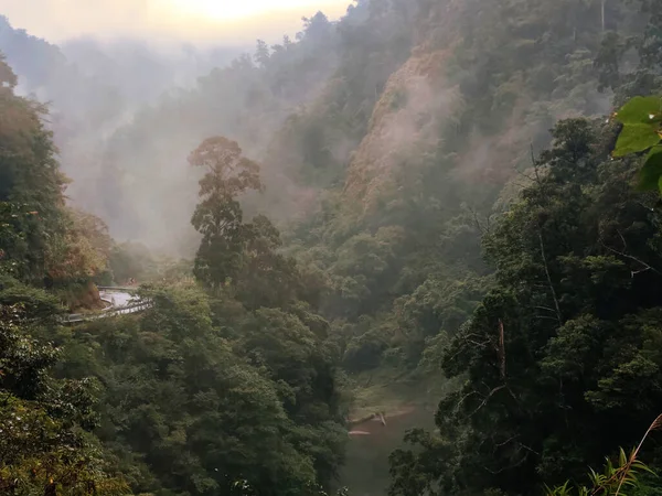 Beautiful Forest Highway North Crossing Highway Taiwan — Stockfoto