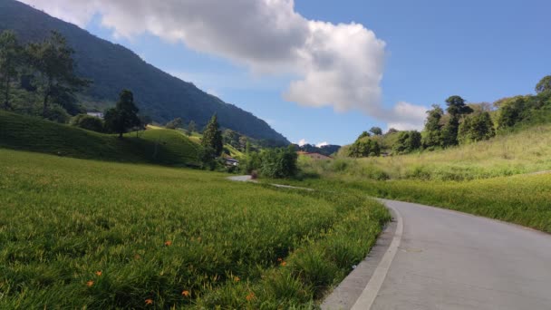 Chike Mountain Hualien Aug 2022 Beautiful Daylily Flower Mountain Eastern — Stockvideo