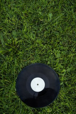 Yeşil çimenlerin üzerinde disk