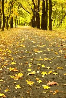 Parkta sıraya girin.