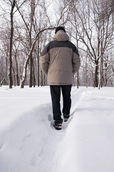 Día de invierno — Foto de Stock