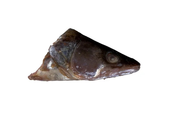 Fish head — Stock Photo, Image