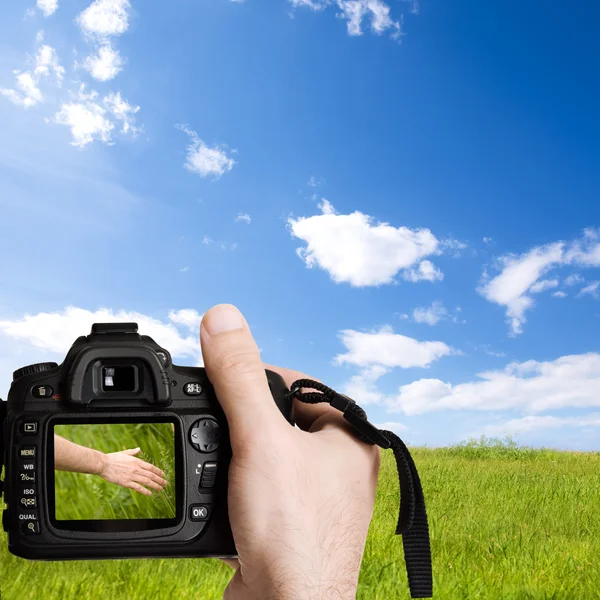 Seguro la naturaleza — Foto de Stock