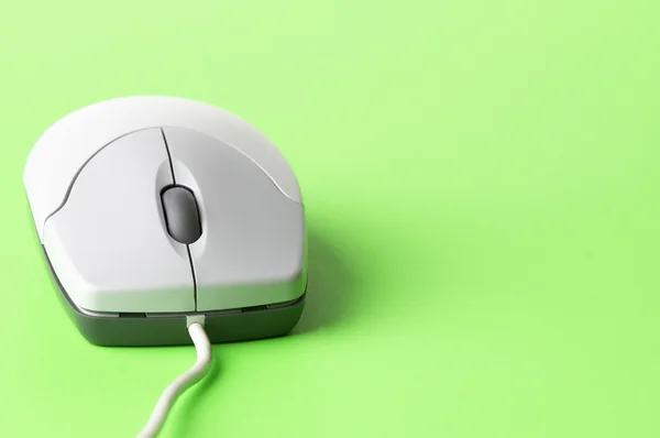 Computer mouse — Stock Photo, Image