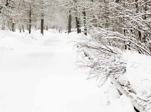 Winterdag — Stockfoto