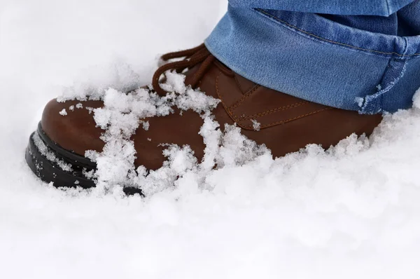 Ботинок со снегом, зимний день — стоковое фото