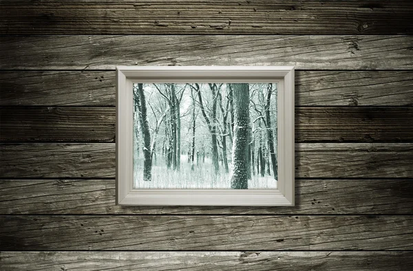 Winter — Stockfoto