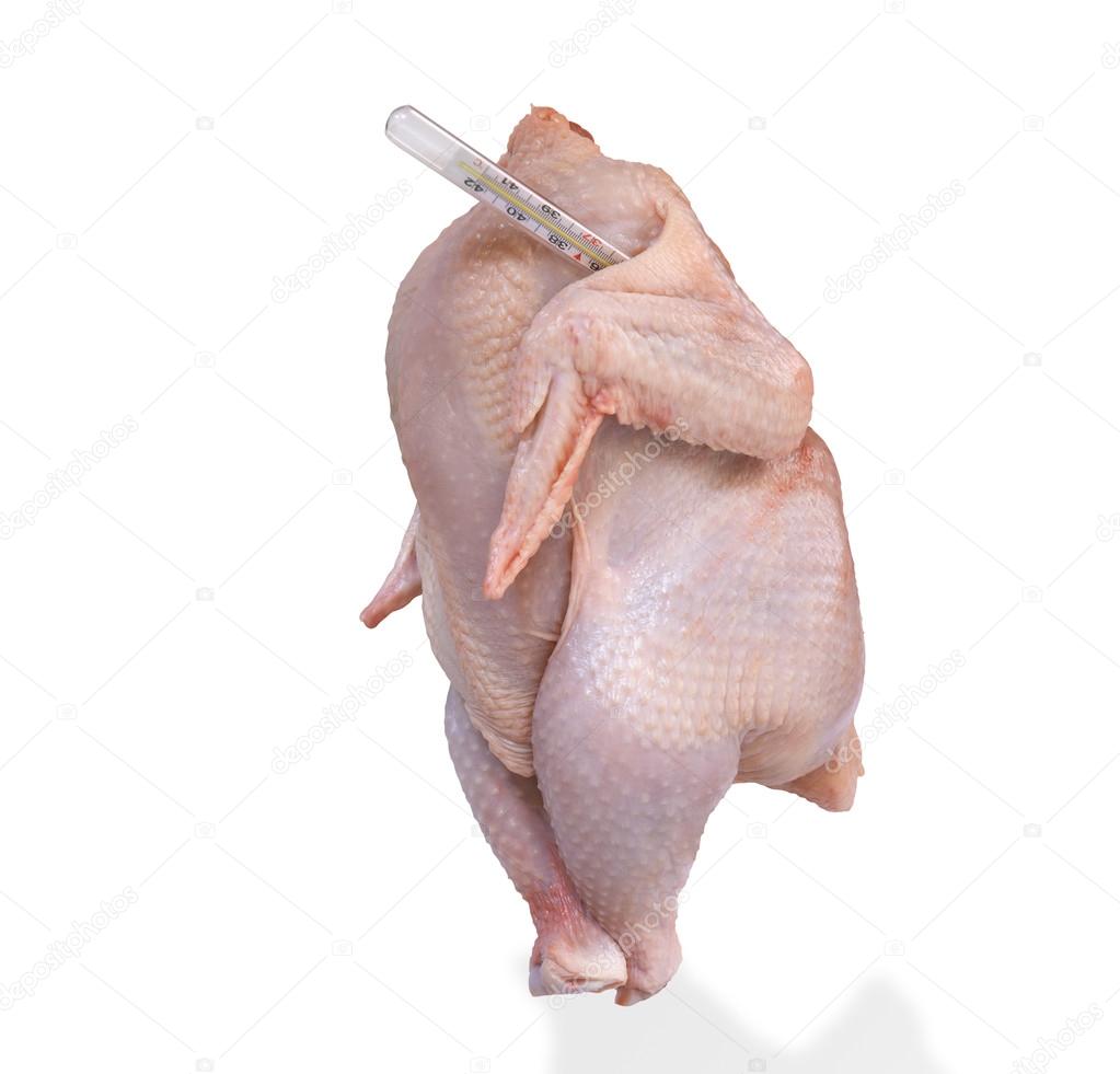 chicken with thermometer
