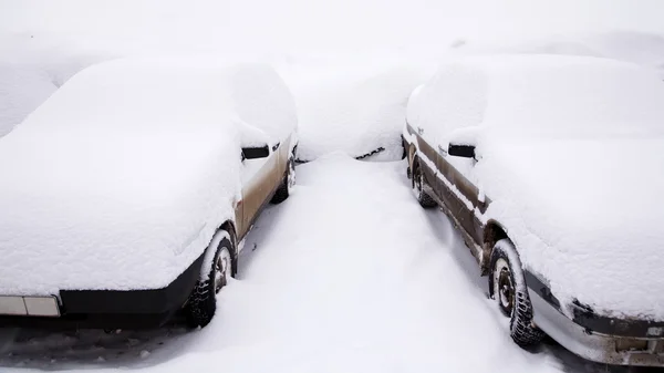 降雪后 — 图库照片