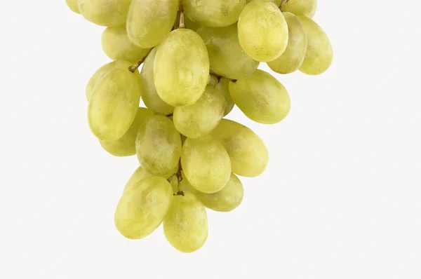 Uvas verdes — Fotografia de Stock