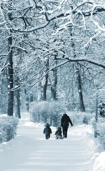 Winter wandelen — Stockfoto