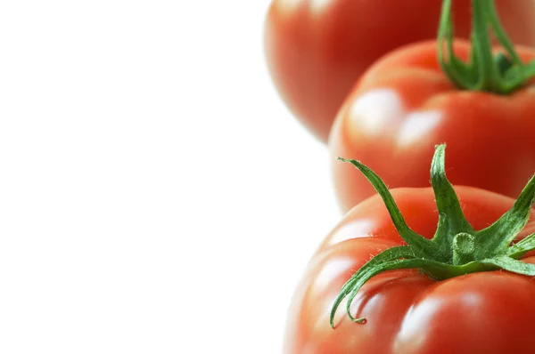 Tomate in Großaufnahme — Stockfoto