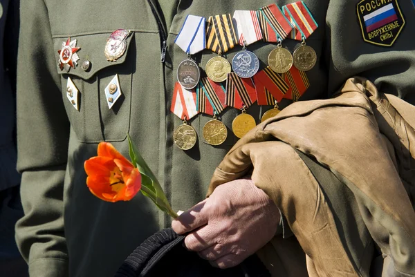 Hand of war veteran with tulip — Stock Photo, Image