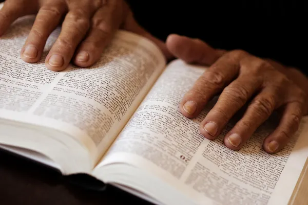 Die Bibel lesen — Stockfoto
