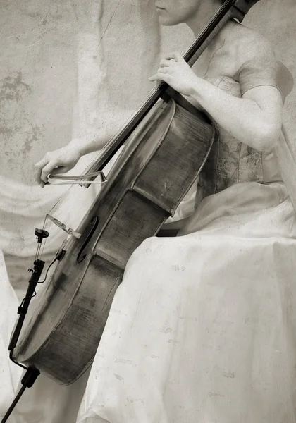 Ročník violoncello — Stock fotografie