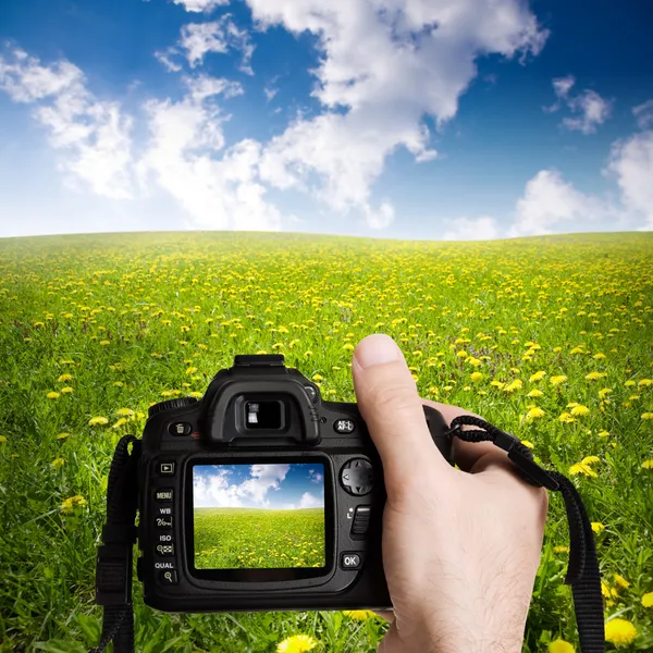 Natuur — Stockfoto