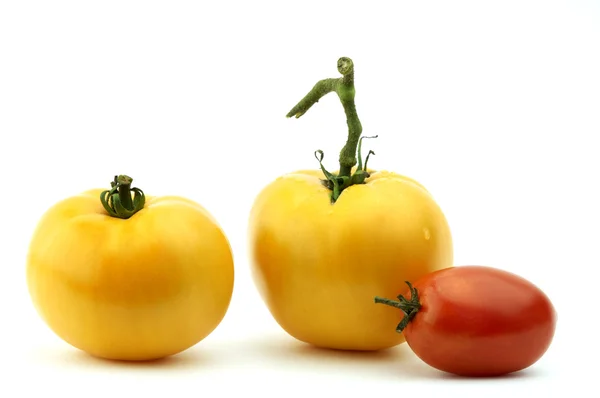 Pomidory żółte i czerwone — Zdjęcie stockowe