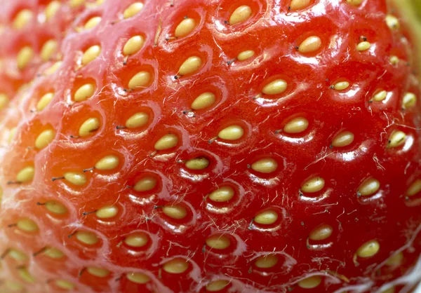 Morango em close-up — Fotografia de Stock