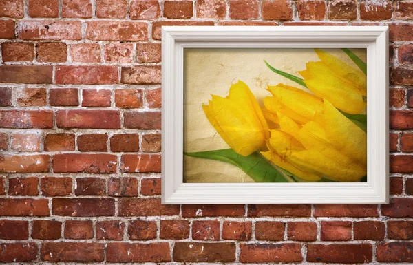 Yellow tulips — Stock Photo, Image