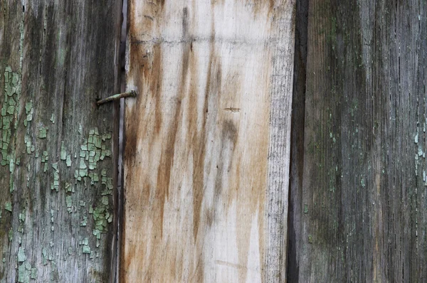 Textura de madeira — Fotografia de Stock