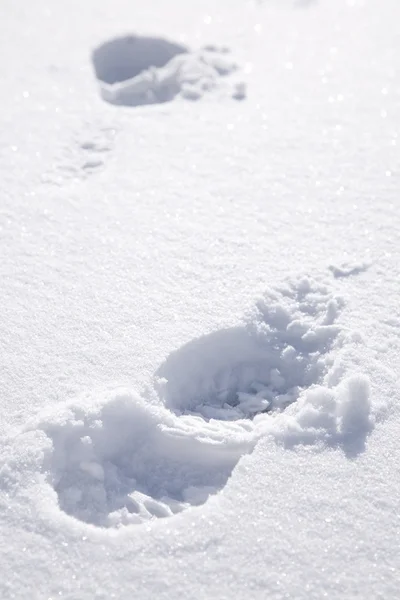 Winter stappen — Stockfoto