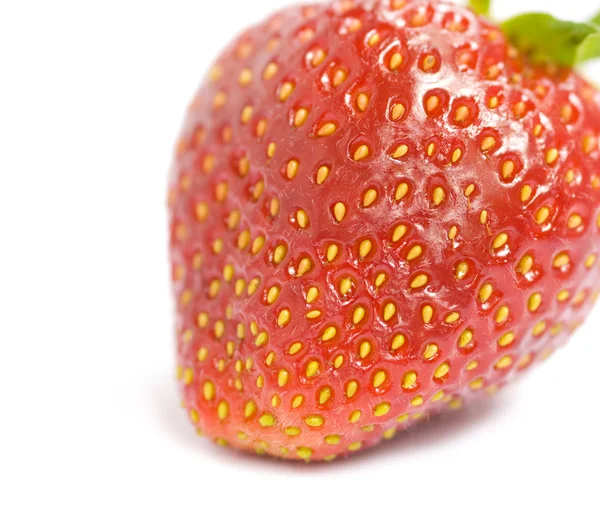 Fragola — Foto Stock