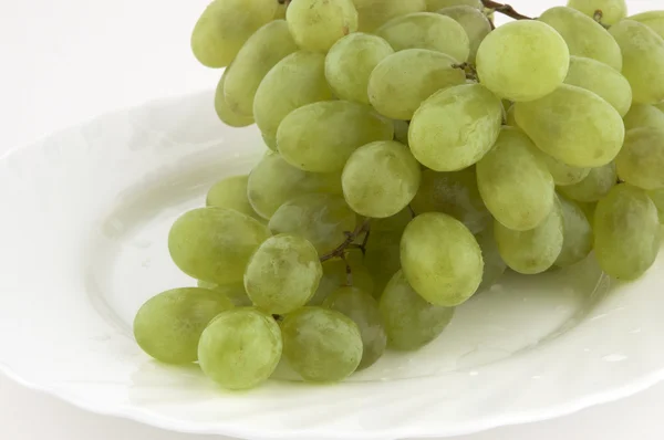 Wet sweet grapes — Stock Photo, Image