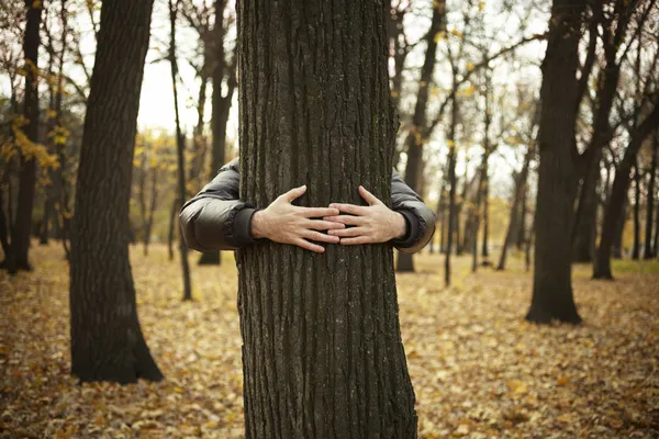 Protección de la naturaleza — Foto de stock gratis