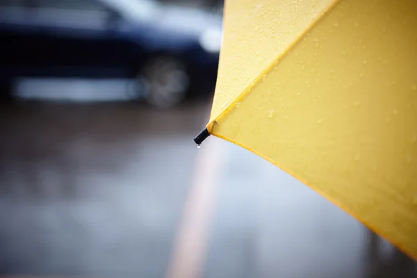 雨 — 图库照片