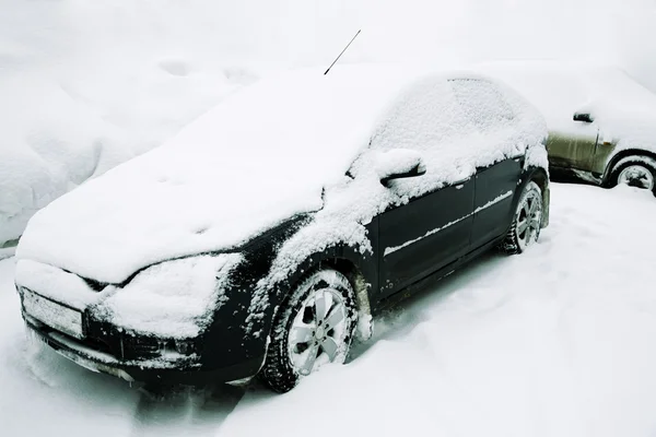 After snowfall — Stock Photo, Image