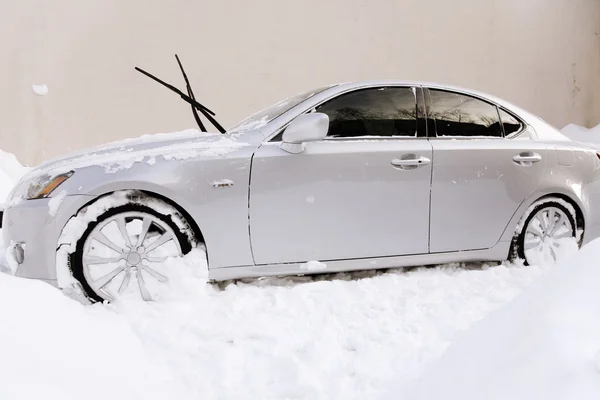 Après les chutes de neige — Photo