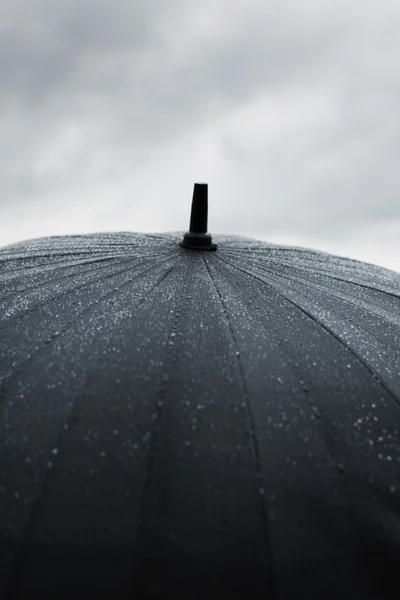 雨 — 图库照片