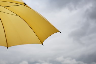 Sarı şemsiye