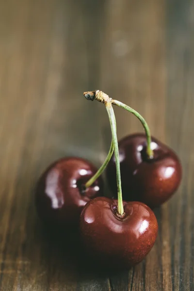 Sweet cherry — Stock fotografie