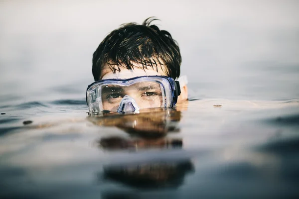 Diving Stock Image