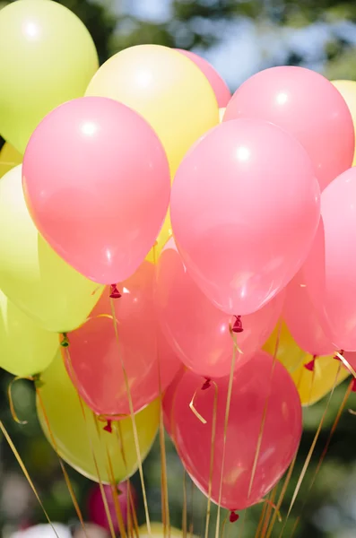 Bos van kleurrijke ballonnen — Stockfoto