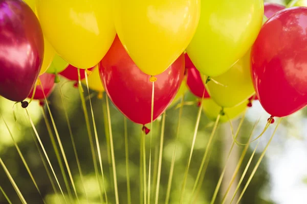 Manojo de globos de colores  . —  Fotos de Stock