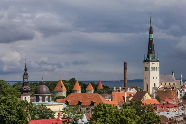 Tallinn Panorama — Stock Photo, Image