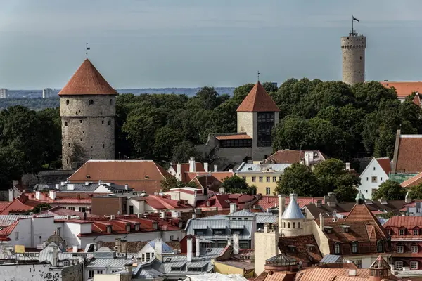 Tallinn Old Town — Stock Photo, Image