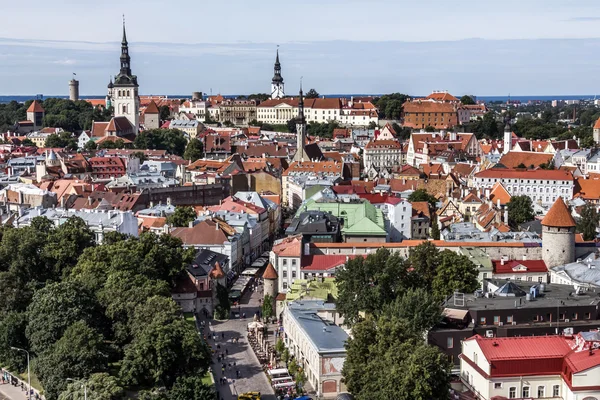Downtown of Tallinn City — Stock Photo, Image
