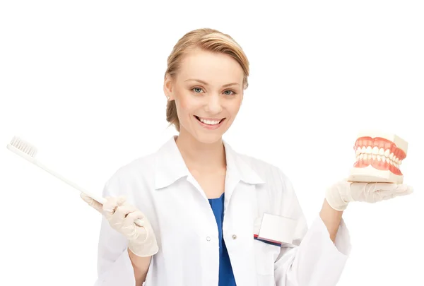 Médico feminino atraente com escova de dentes e mandíbulas — Fotografia de Stock