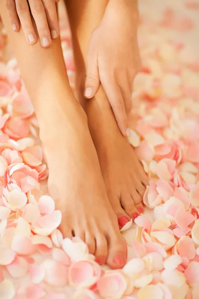 Female hands and legs — Stock Photo, Image