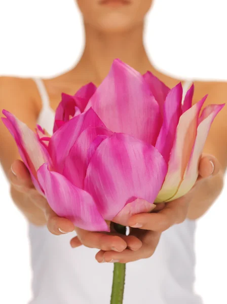 Mulher mãos segurando flor de lótus — Fotografia de Stock