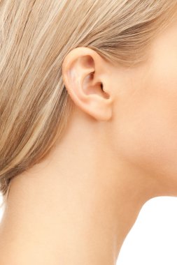 Picture of woman's ear clipart