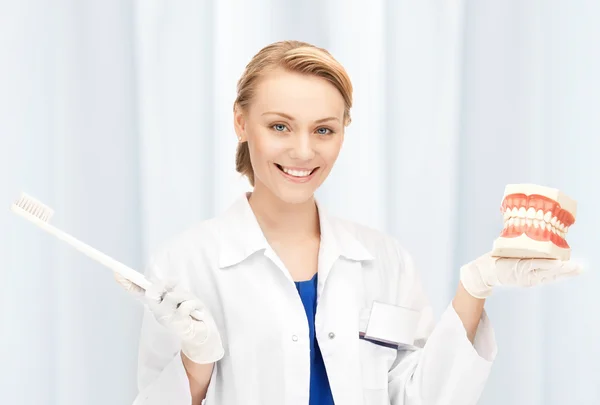 Atractiva doctora con cepillo de dientes y mandíbulas —  Fotos de Stock