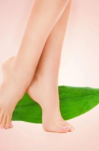 Női lábak zöld levél — Stock Fotó