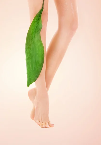 Female legs with green leaf — Stock Photo, Image