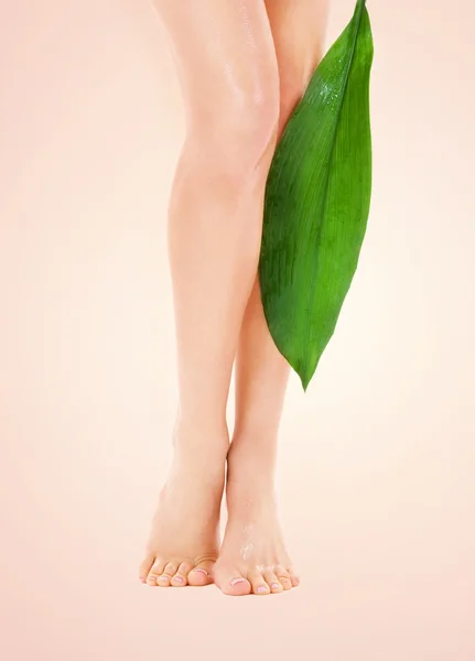 Patas femeninas con hoja verde — Foto de Stock